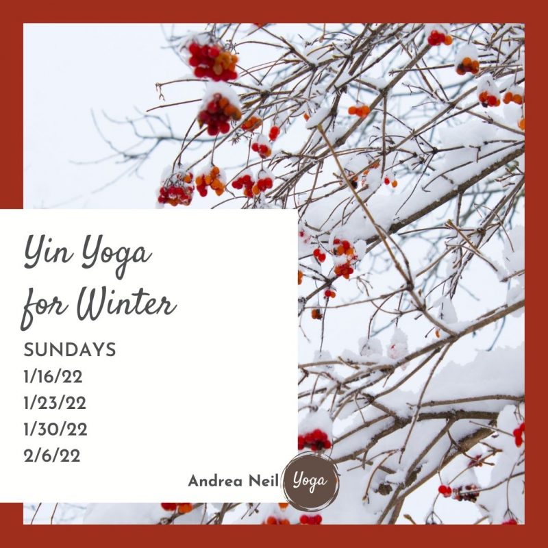 yin yoga for winter
